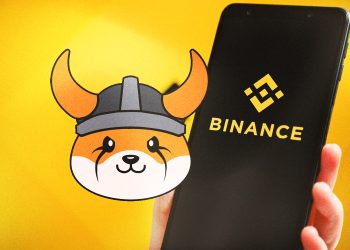 Can You Buy FLOKI Coin On Binance? Curiosities About FLOKI