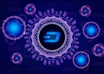 Factors Influencing DASH Price