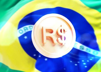 Discovery of Functions Raises Concerns About Brazil's Real Digital Pilot Project2